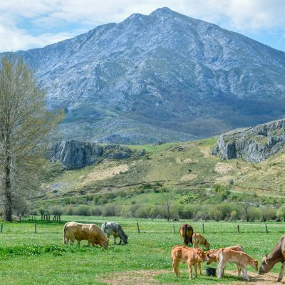 montaña asturias